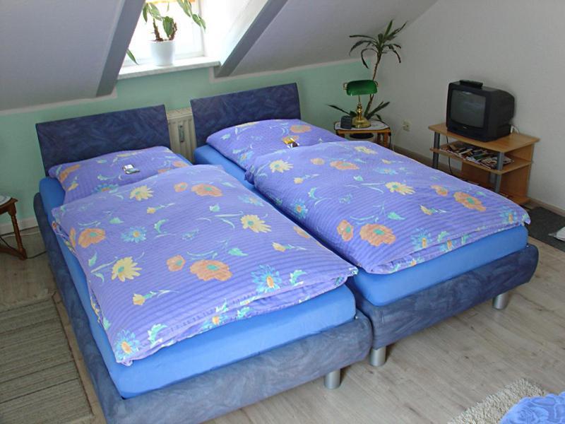 Hotel-Pension Koenigswald Dresde Habitación foto